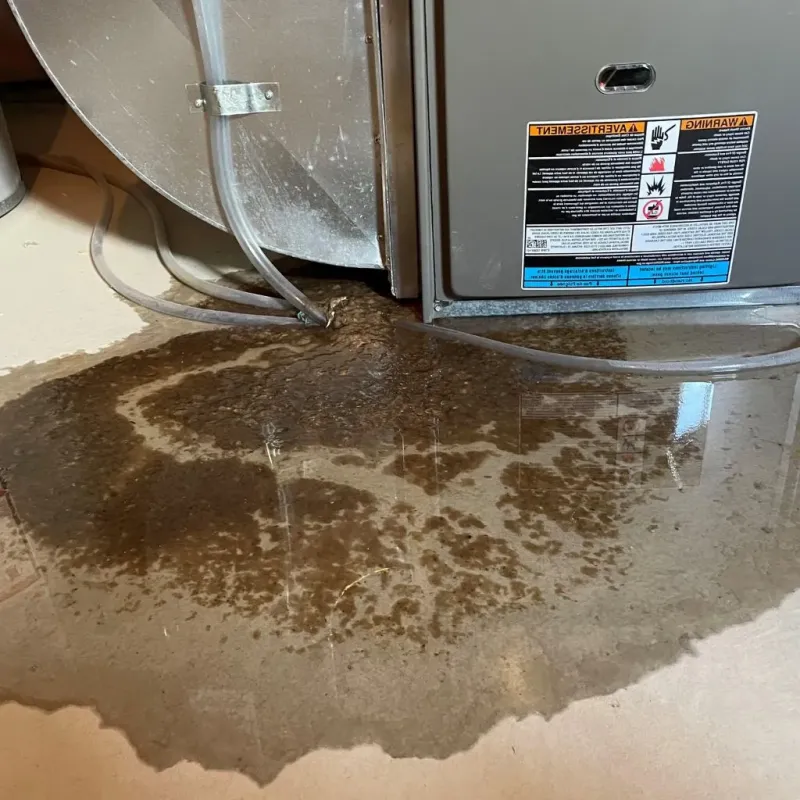 Pipe Burst and Leak Restoration in Secaucus, NJ